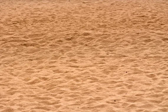 ביגווינס קזינו תמיכה